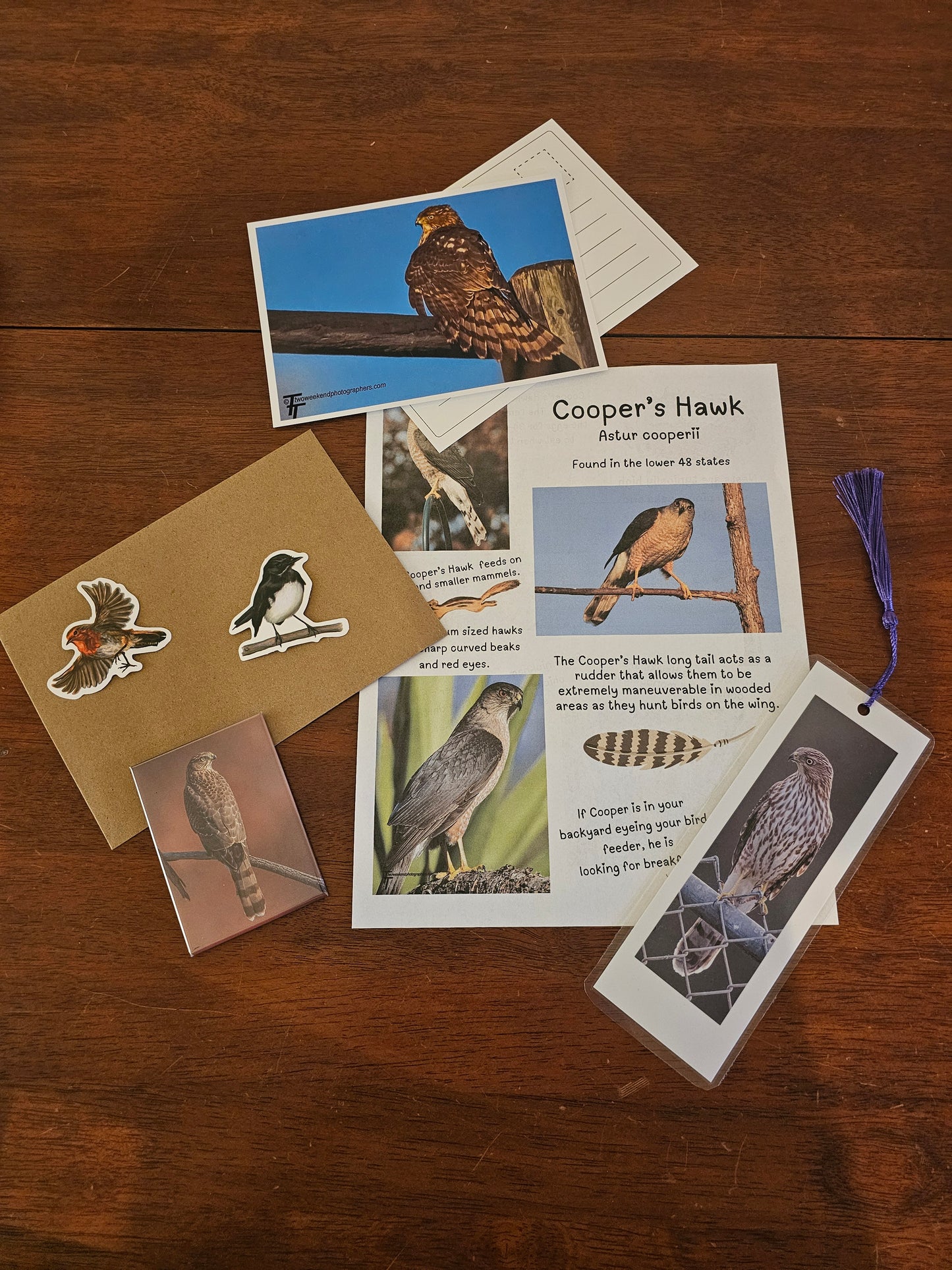Bird Mags - August